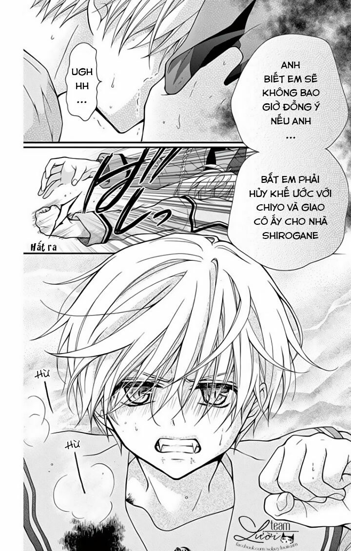 Máu của cậu chỉ thuộc về mình tớ...: Chapter 27