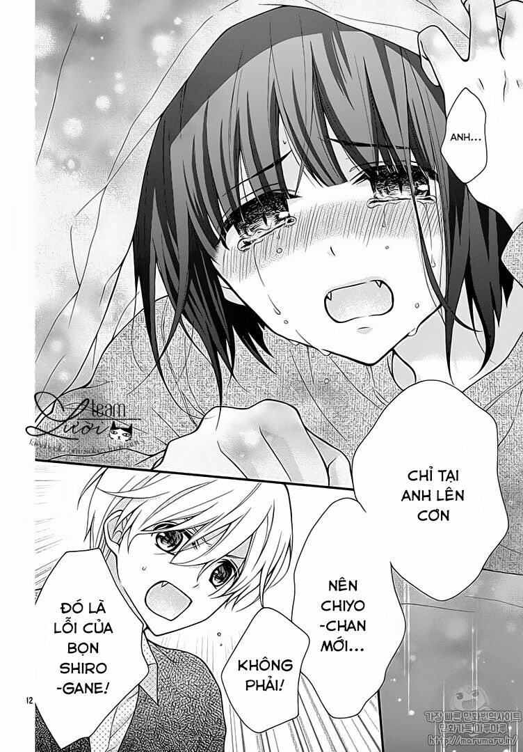 Máu của cậu chỉ thuộc về mình tớ...: Chapter 31