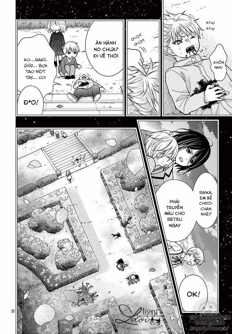 Máu của cậu chỉ thuộc về mình tớ...: Chapter 33
