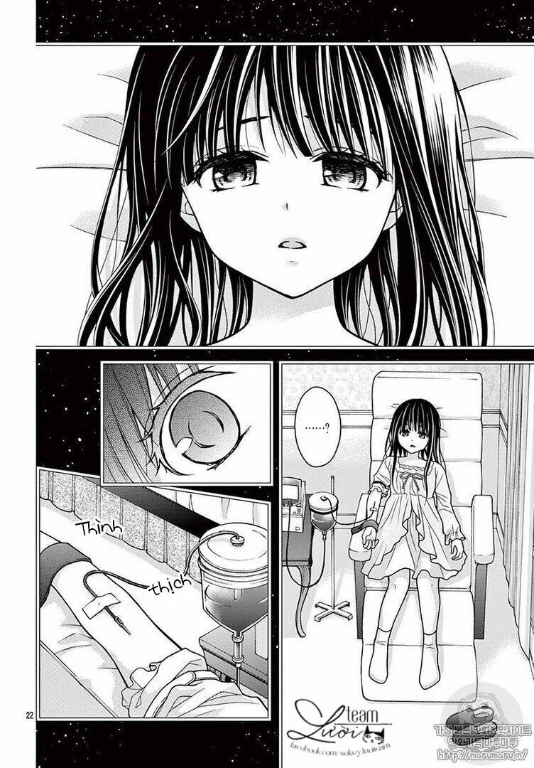 Máu của cậu chỉ thuộc về mình tớ...: Chapter 33