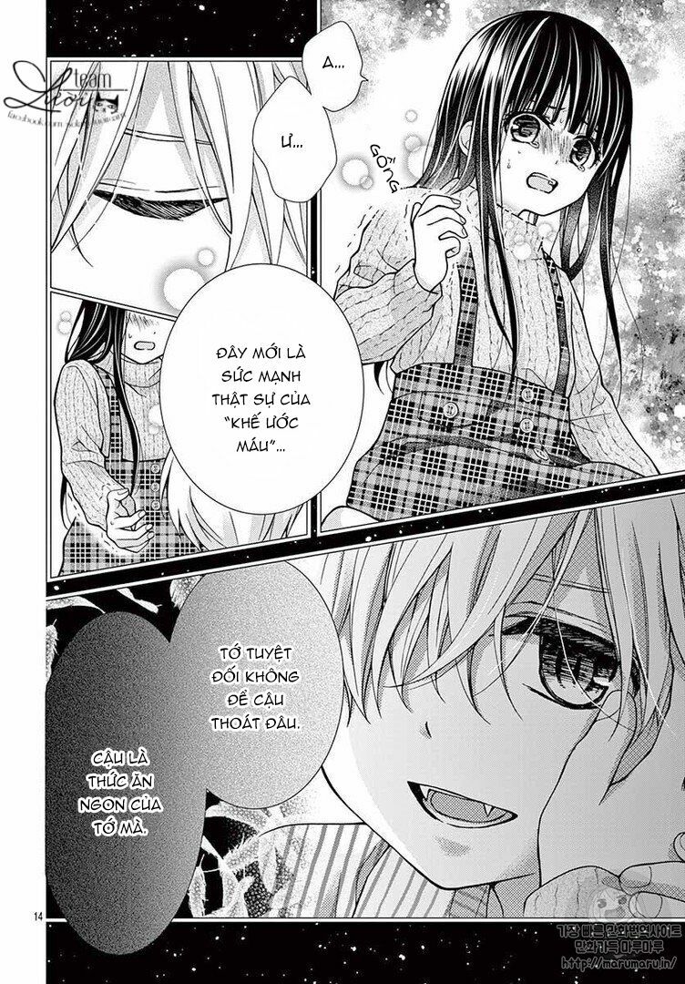 Máu của cậu chỉ thuộc về mình tớ...: Chapter 35