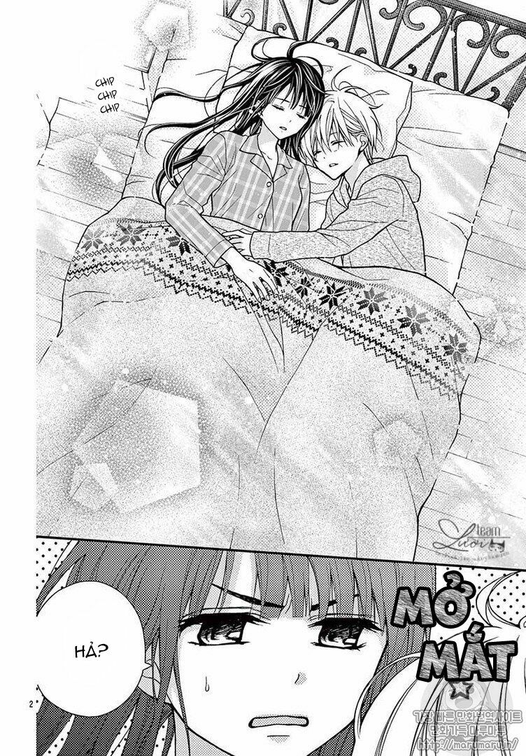Máu của cậu chỉ thuộc về mình tớ...: Chapter 39.5