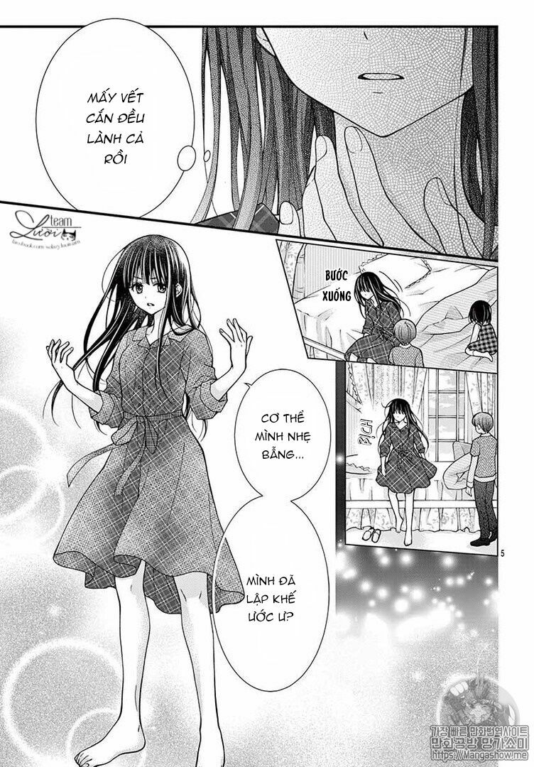 Máu của cậu chỉ thuộc về mình tớ...: Chapter 45