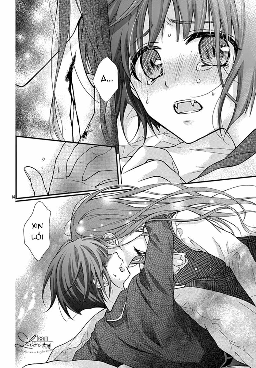 Máu của cậu chỉ thuộc về mình tớ...: Chapter 53