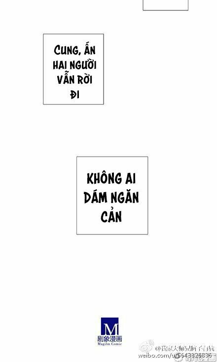 Đại Sư Huynh Nhà Tui Bị Não: Chapter 174