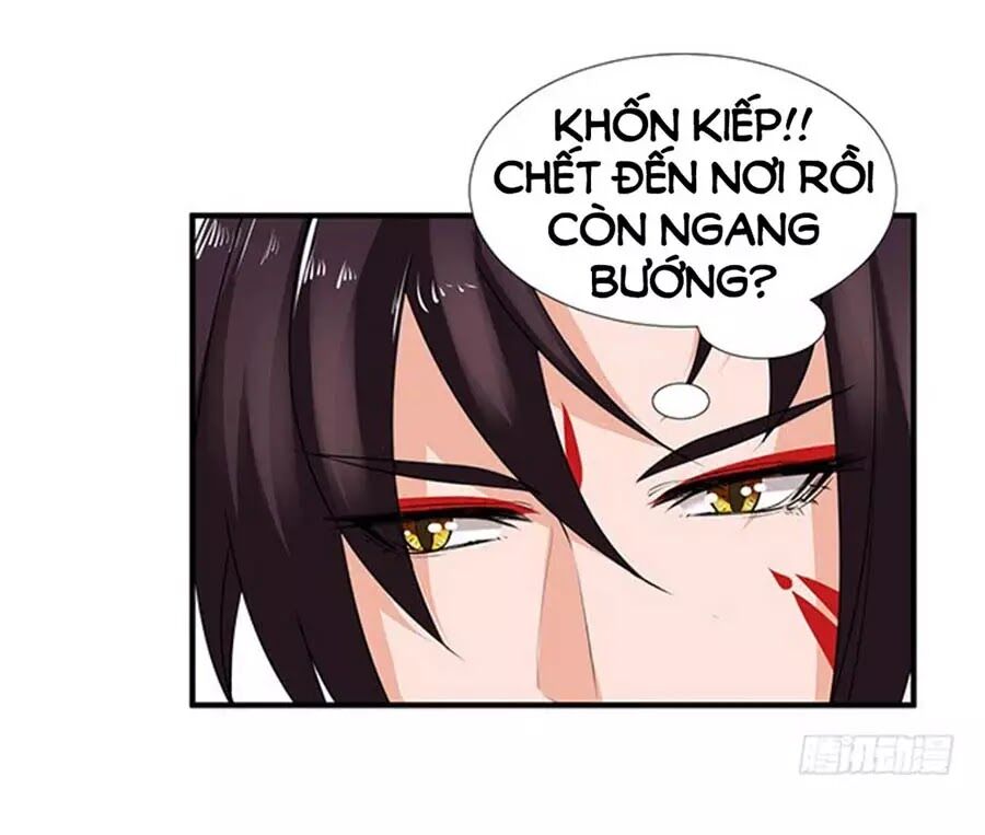 Vương Tử Nhà Tôi Là Nô Bộc: Chapter 102