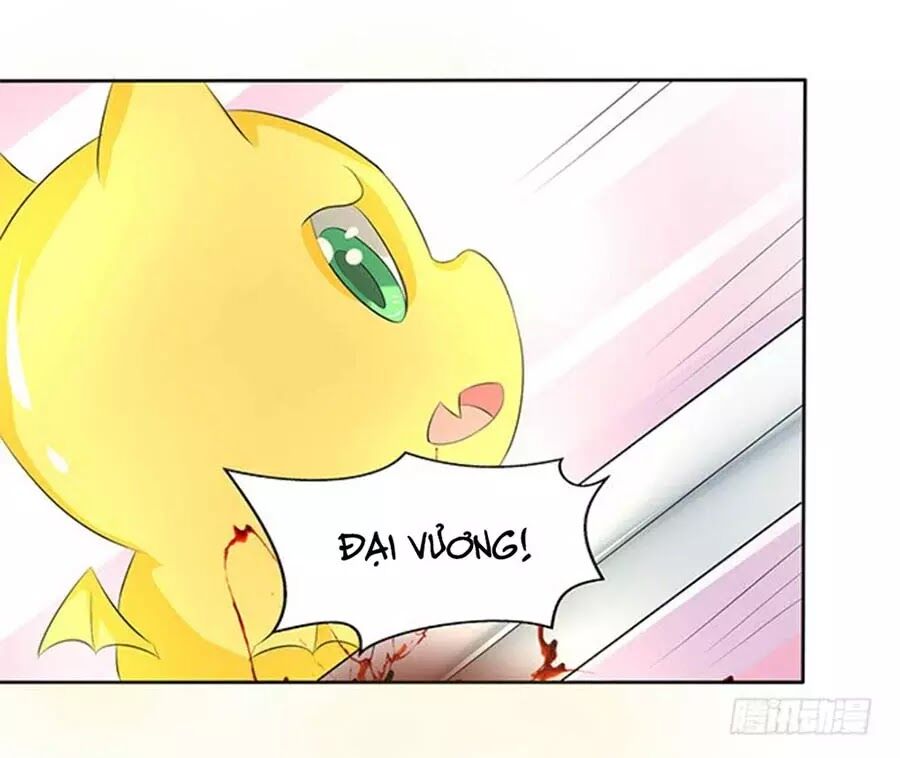 Vương Tử Nhà Tôi Là Nô Bộc: Chapter 102