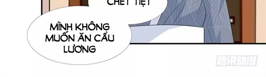 Vương Tử Nhà Tôi Là Nô Bộc: Chapter 124