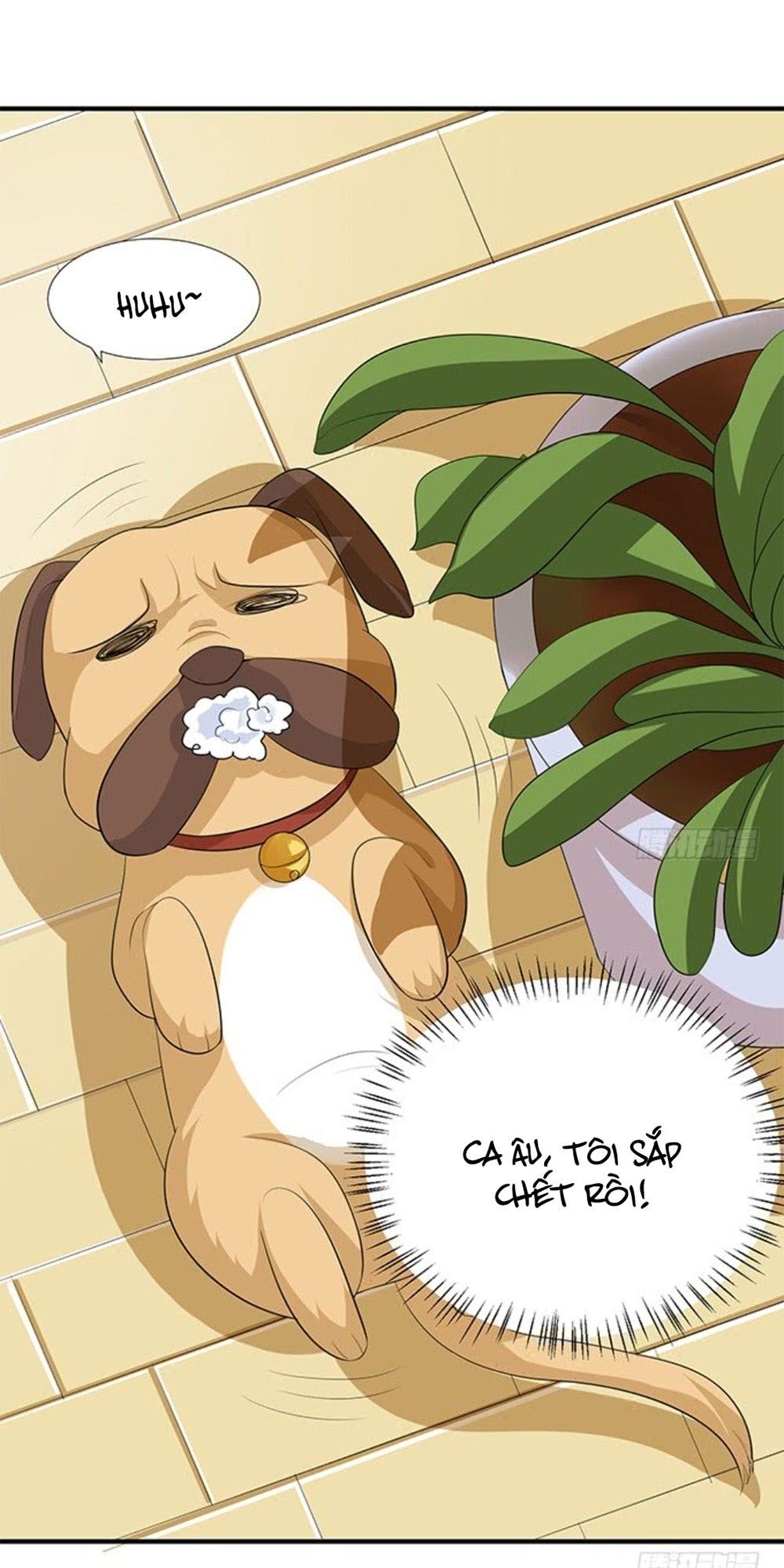Vương Tử Nhà Tôi Là Nô Bộc: Chapter 139