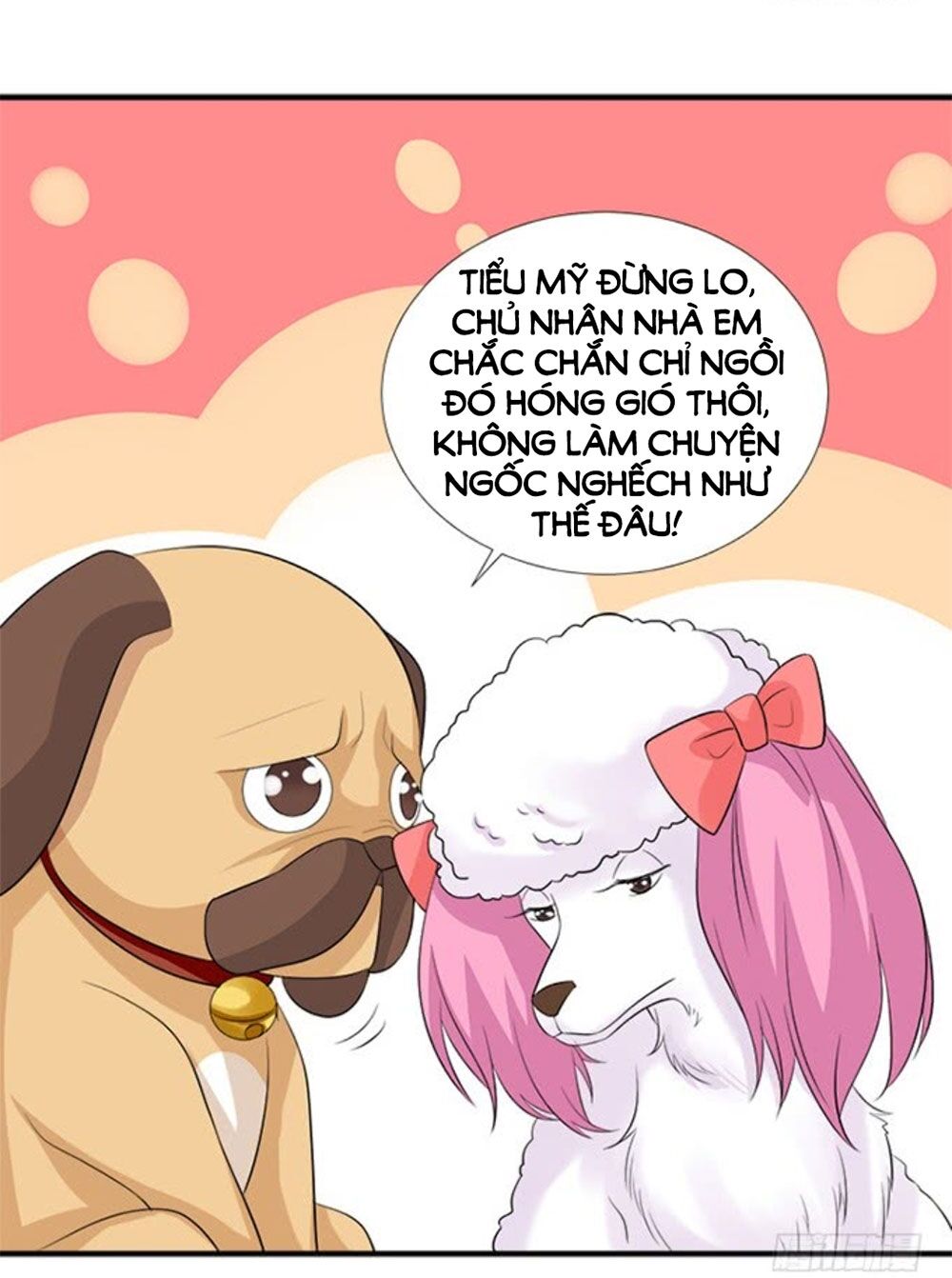 Vương Tử Nhà Tôi Là Nô Bộc: Chapter 144