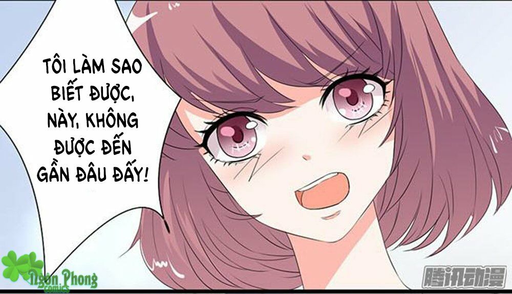Vương Tử Nhà Tôi Là Nô Bộc: Chapter 16