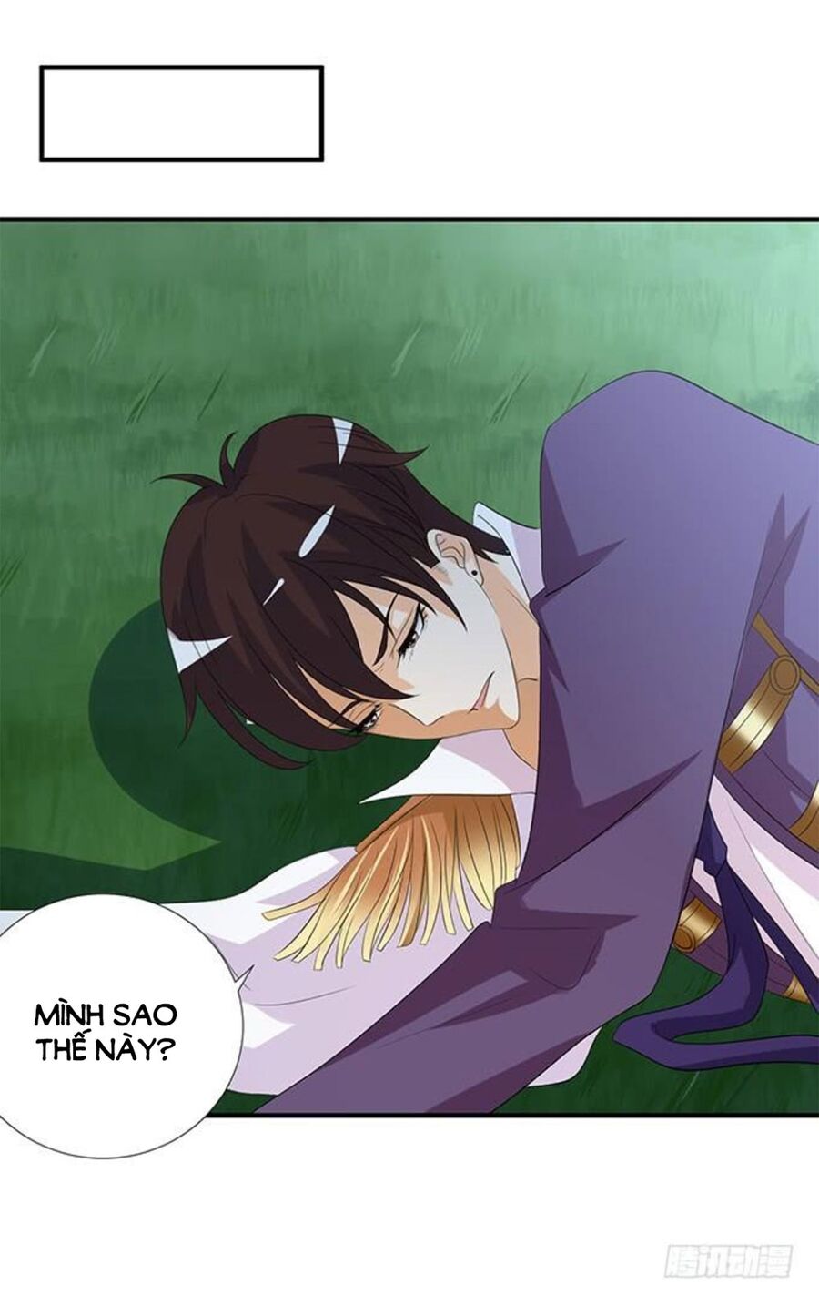 Vương Tử Nhà Tôi Là Nô Bộc: Chapter 168: End