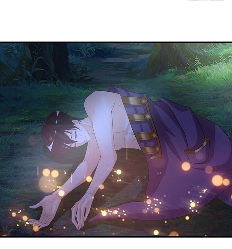 Vương Tử Nhà Tôi Là Nô Bộc: Chapter 168: End