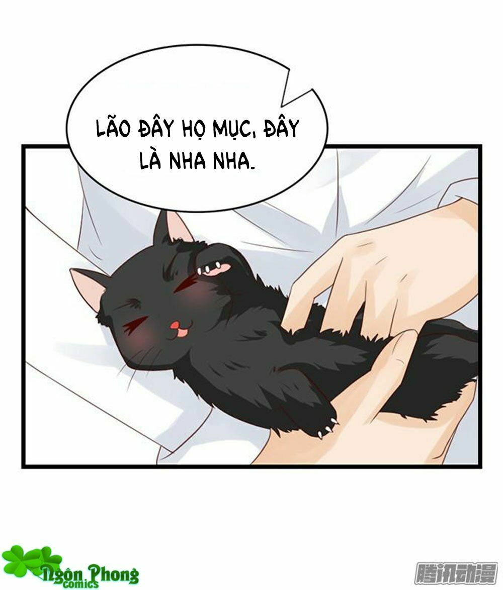 Vương Tử Nhà Tôi Là Nô Bộc: Chapter 37