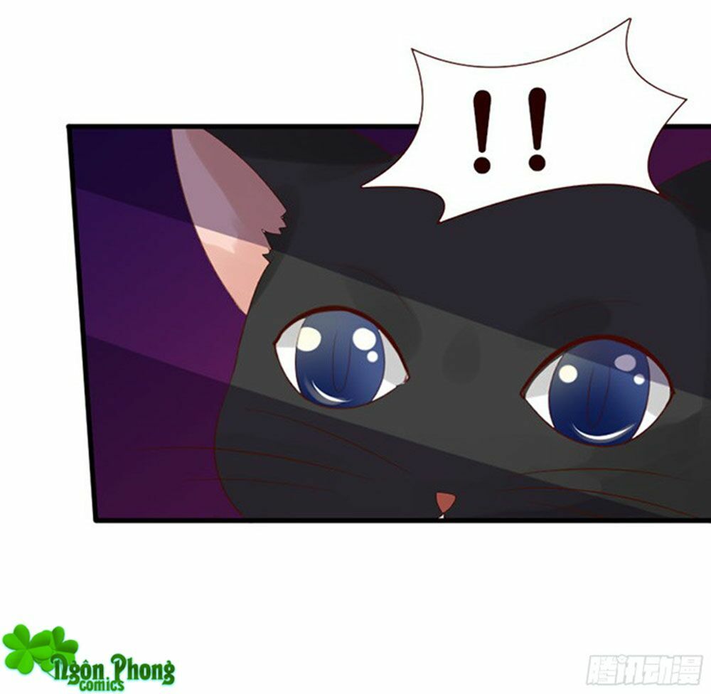 Vương Tử Nhà Tôi Là Nô Bộc: Chapter 42
