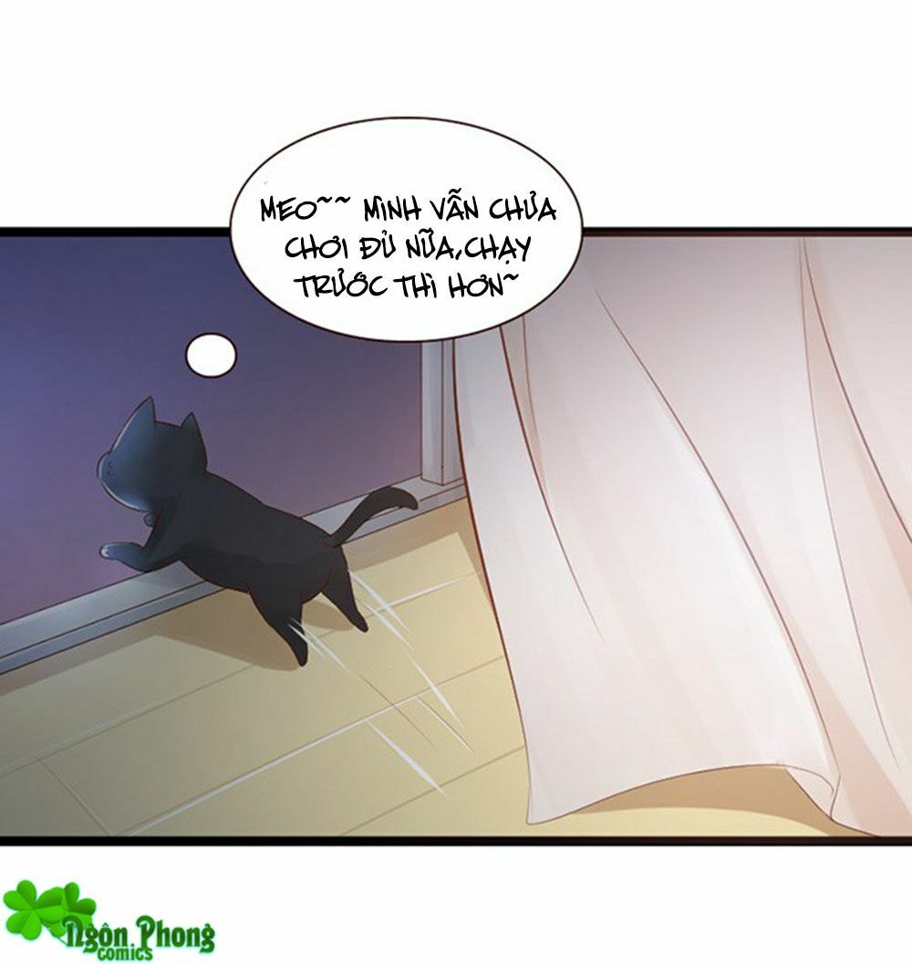 Vương Tử Nhà Tôi Là Nô Bộc: Chapter 42