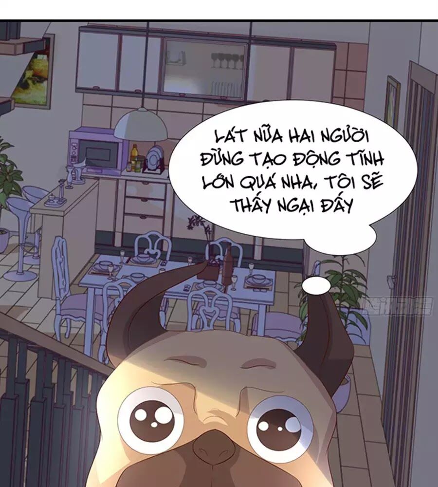 Vương Tử Nhà Tôi Là Nô Bộc: Chapter 92