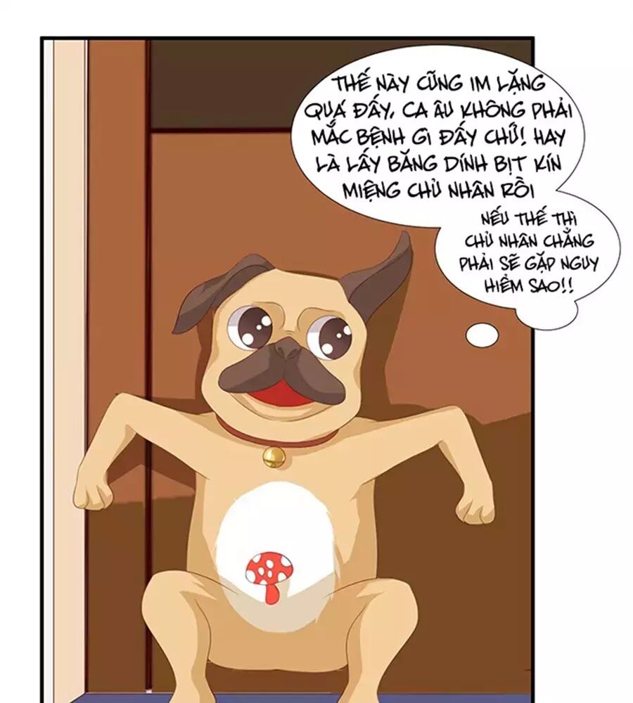 Vương Tử Nhà Tôi Là Nô Bộc: Chapter 92