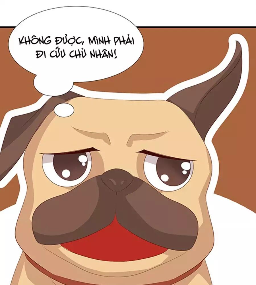 Vương Tử Nhà Tôi Là Nô Bộc: Chapter 92