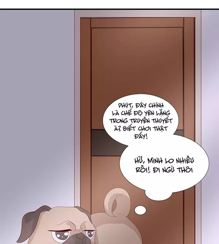 Vương Tử Nhà Tôi Là Nô Bộc: Chapter 92