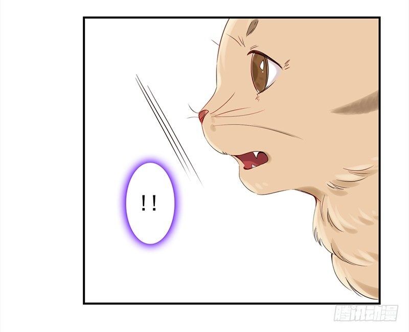 Yêu Tinh Đại Tác Chiến: Chapter 28
