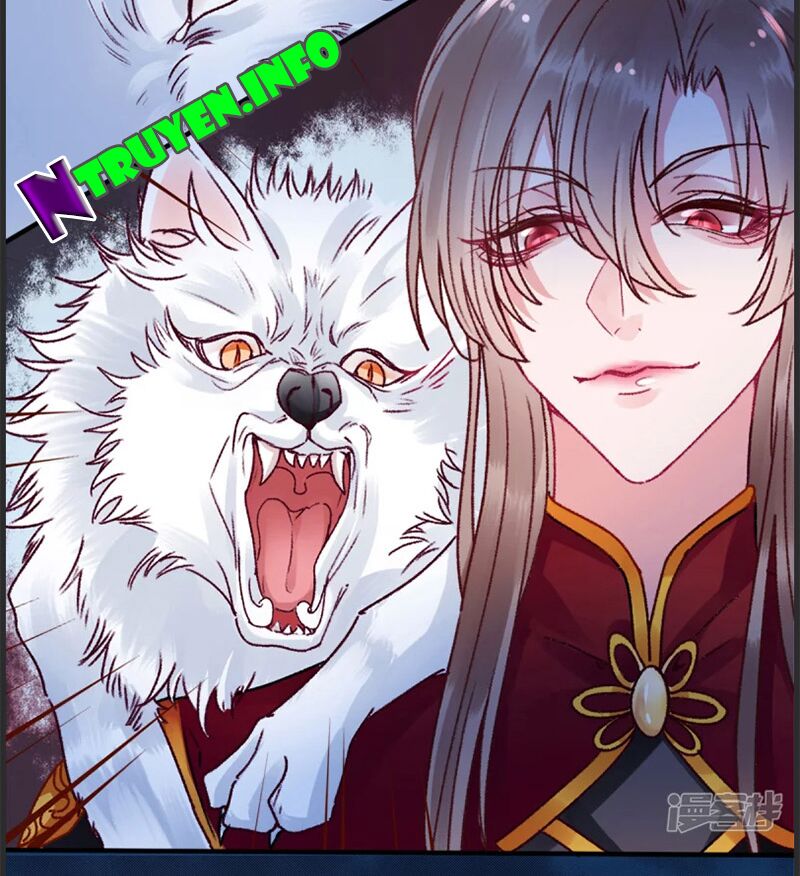 Hoàng phi 9000 tuổi: Chapter 35