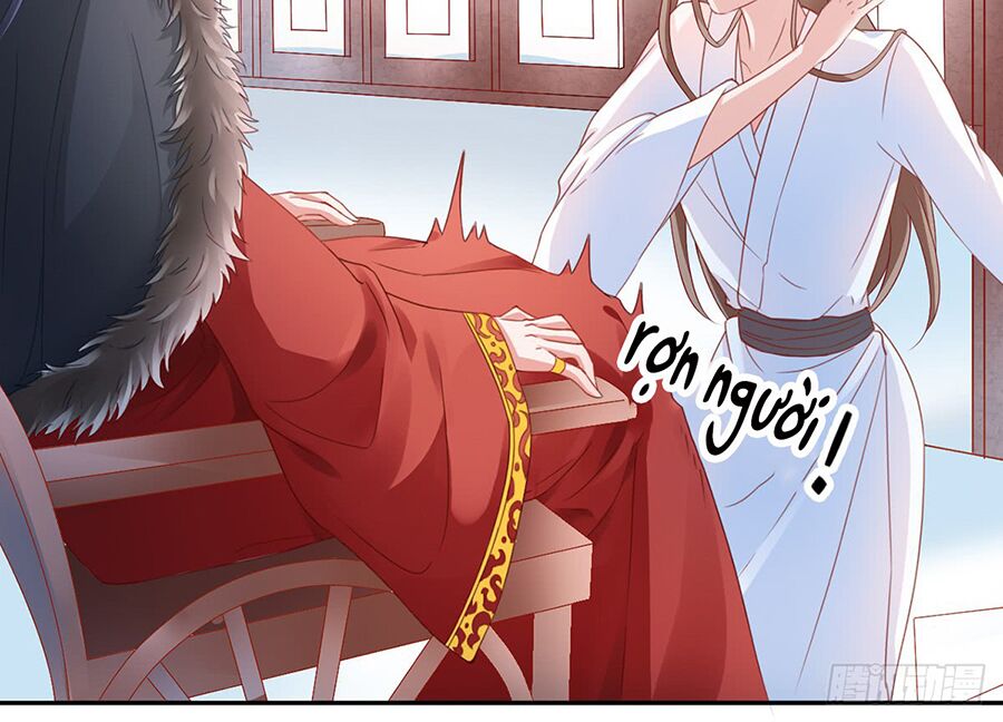 Hoàng phi 9000 tuổi: Chapter 4