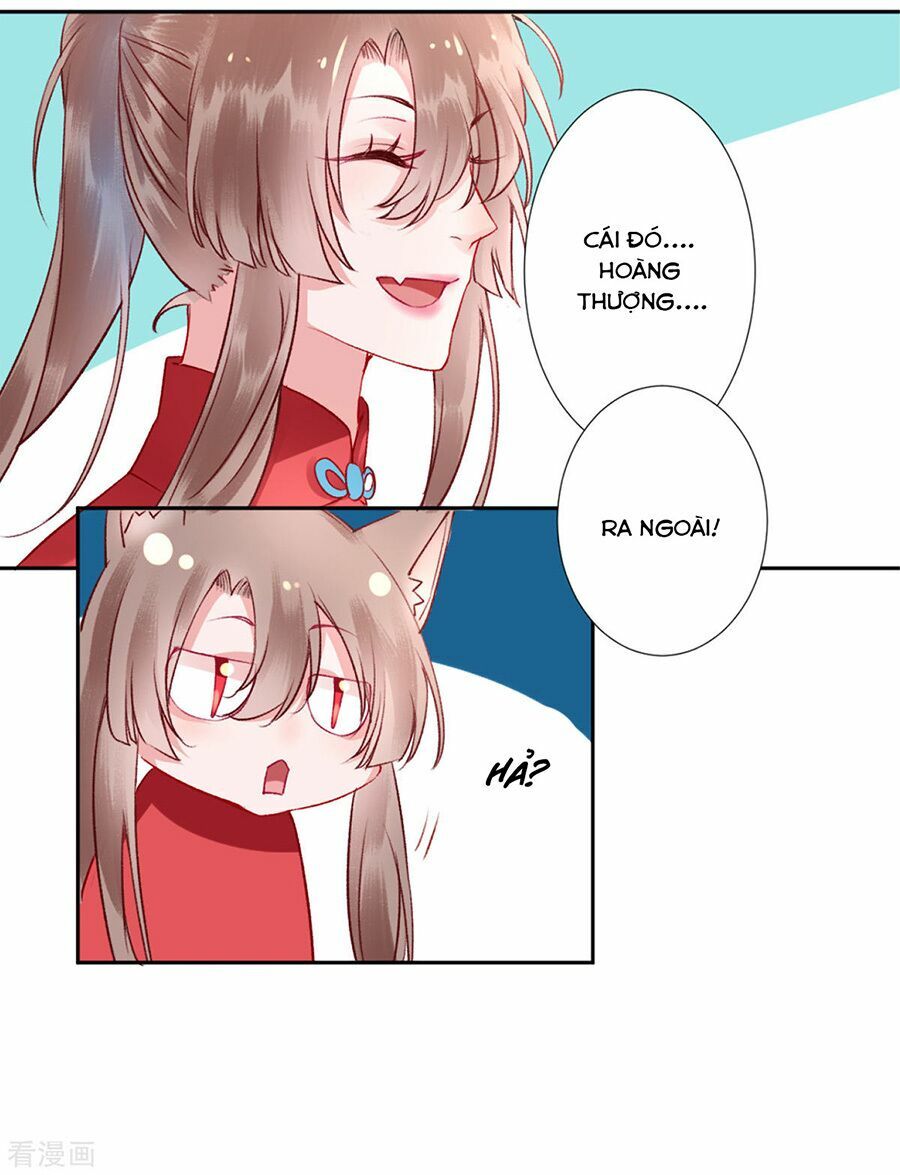 Hoàng phi 9000 tuổi: Chapter 41