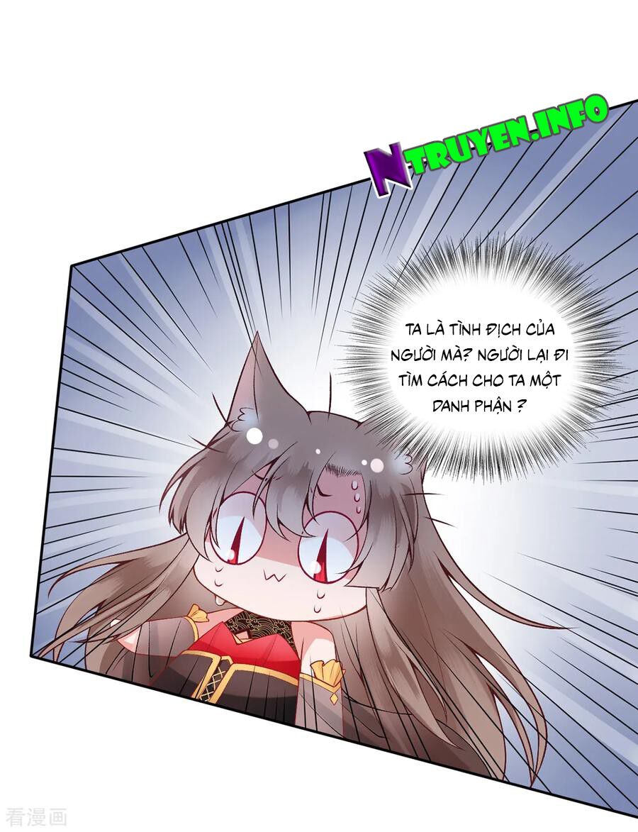 Hoàng phi 9000 tuổi: Chapter 73