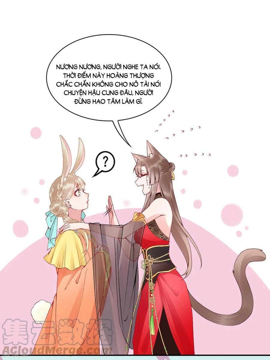 Hoàng phi 9000 tuổi: Chapter 73