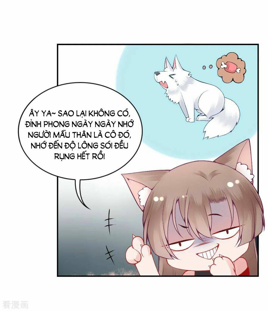 Hoàng phi 9000 tuổi: Chapter 82