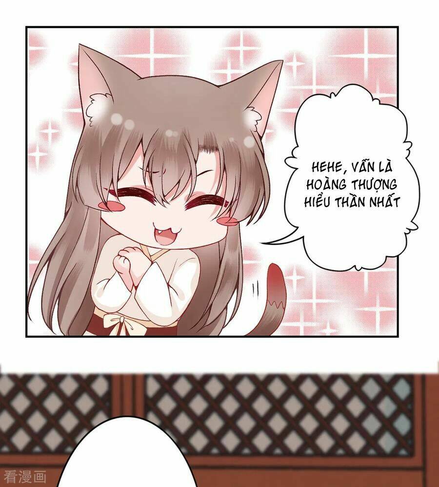 Hoàng phi 9000 tuổi: Chapter 84