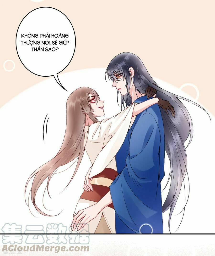Hoàng phi 9000 tuổi: Chapter 84