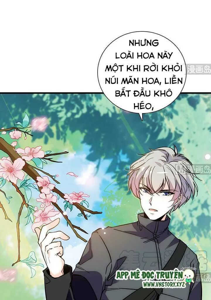 Ngọt ngào uy vũ: Boss sủng đến nghiện: Chapter 178