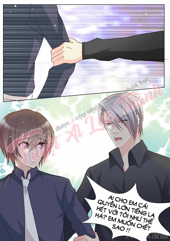 The stars are not luminous body: Chapter 100