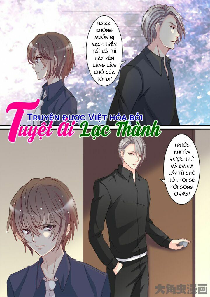 The stars are not luminous body: Chapter 101