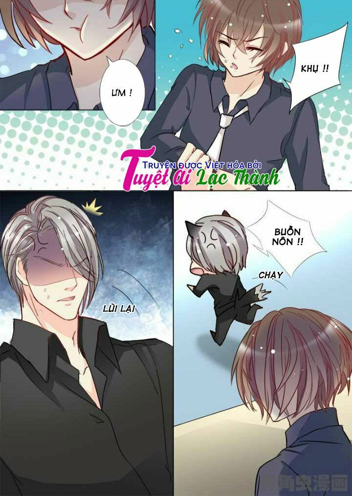 The stars are not luminous body: Chapter 103