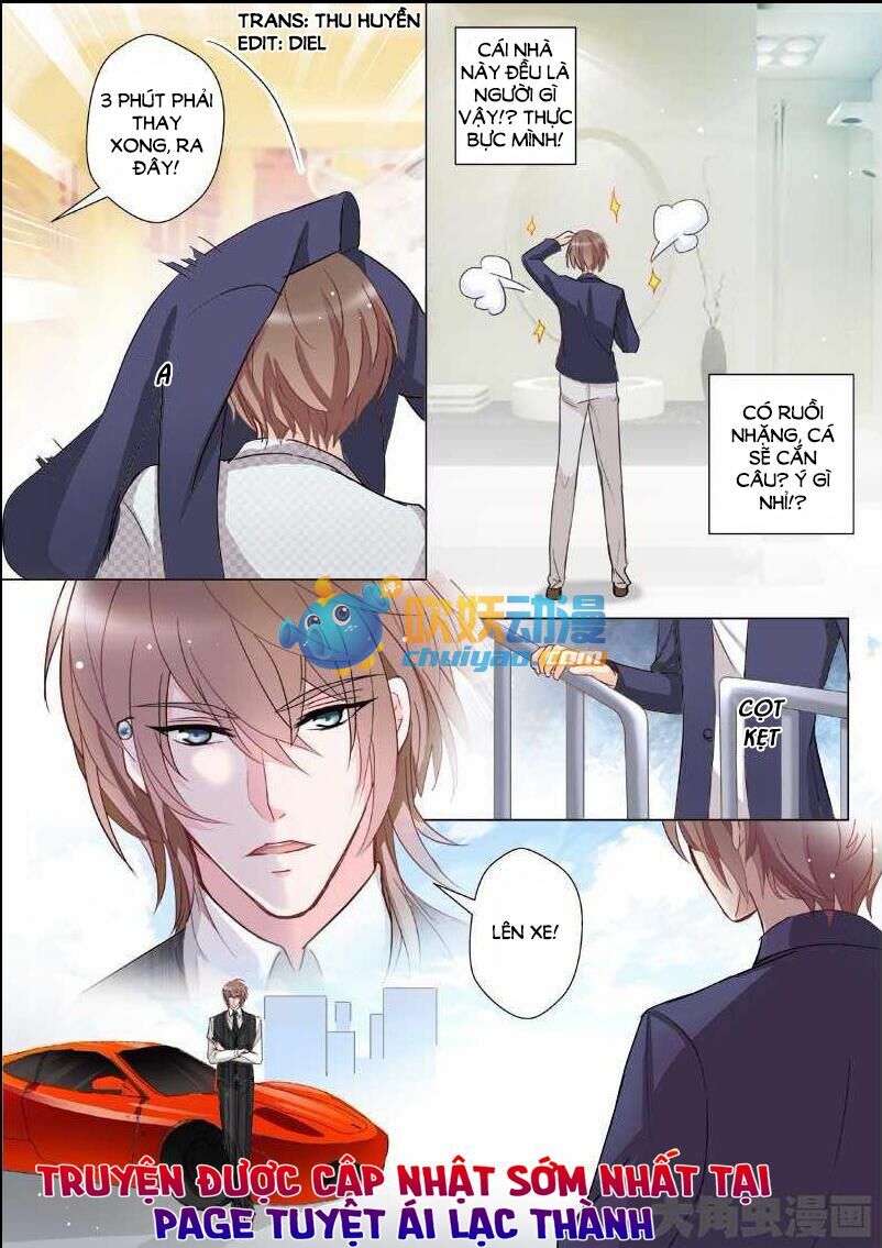 The stars are not luminous body: Chapter 13