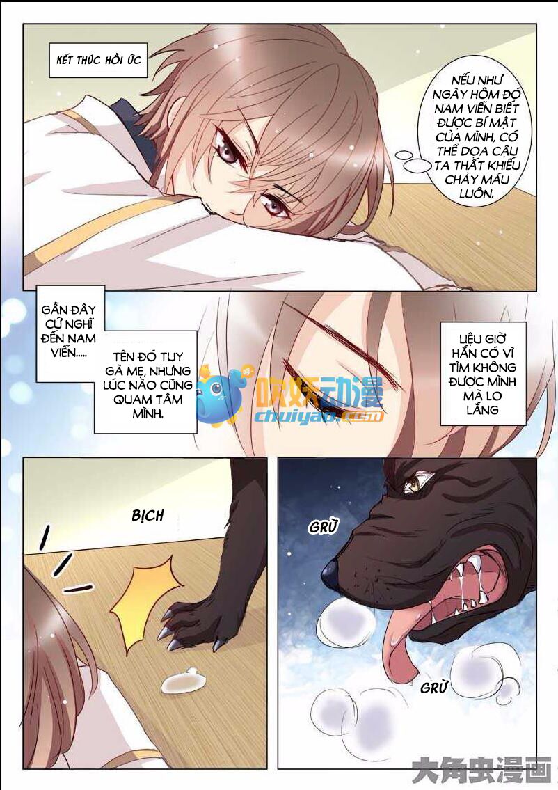 The stars are not luminous body: Chapter 19