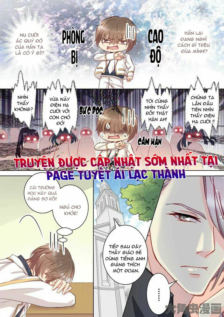 The stars are not luminous body: Chapter 40