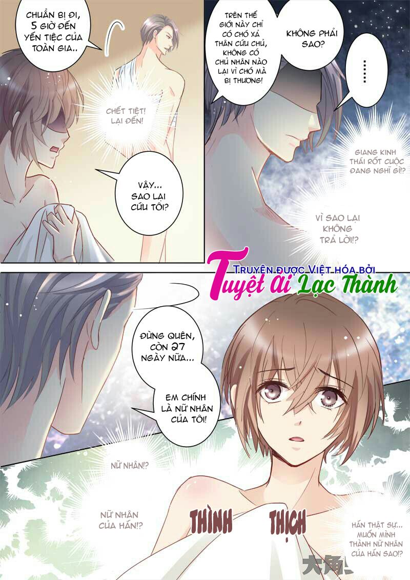 The stars are not luminous body: Chapter 50