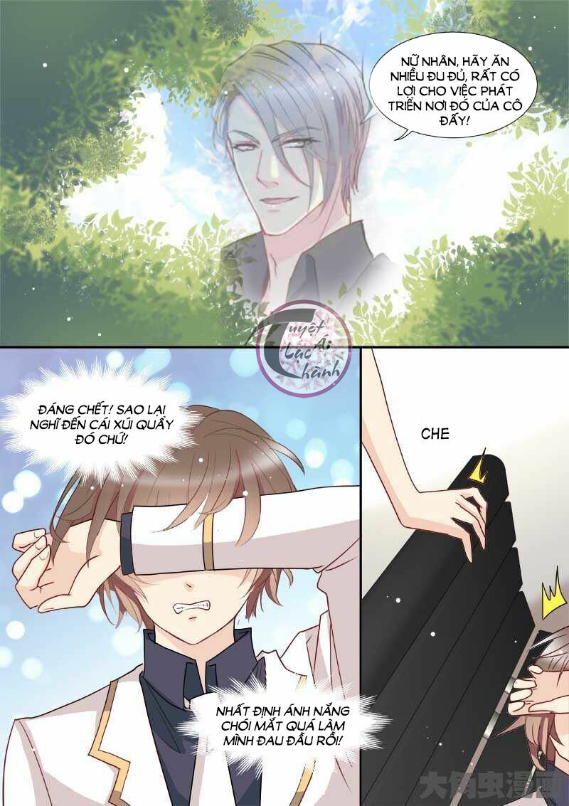 The stars are not luminous body: Chapter 70