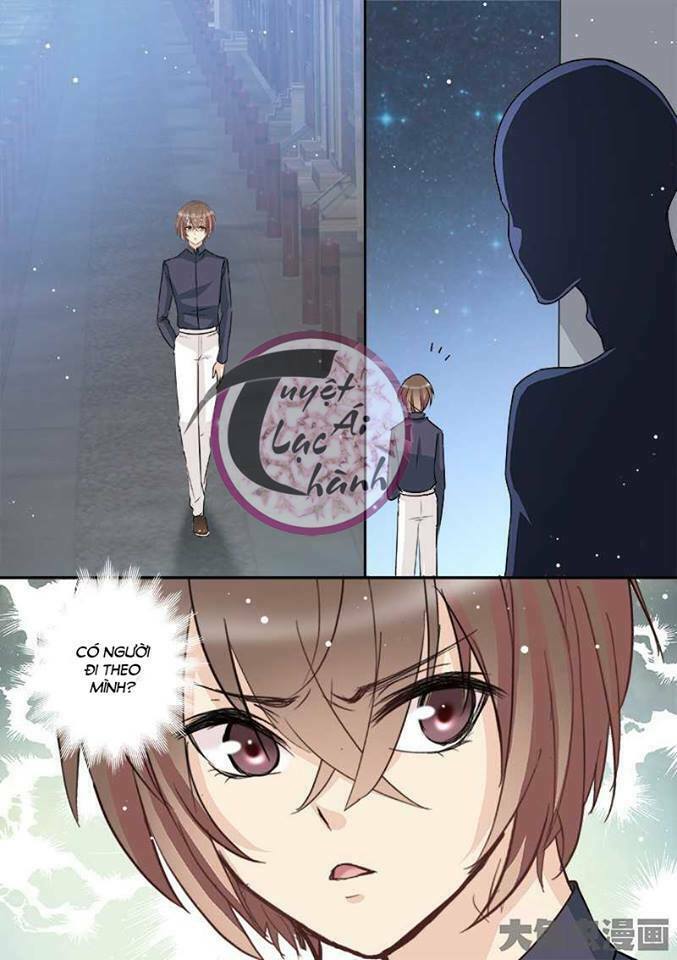 The stars are not luminous body: Chapter 73