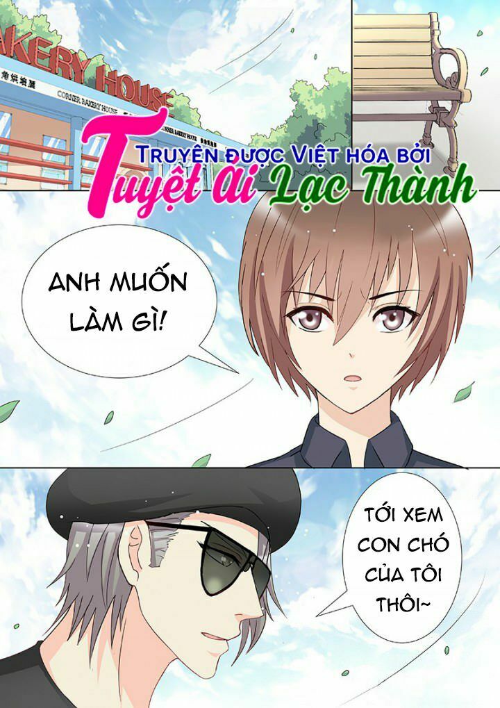 The stars are not luminous body: Chapter 97
