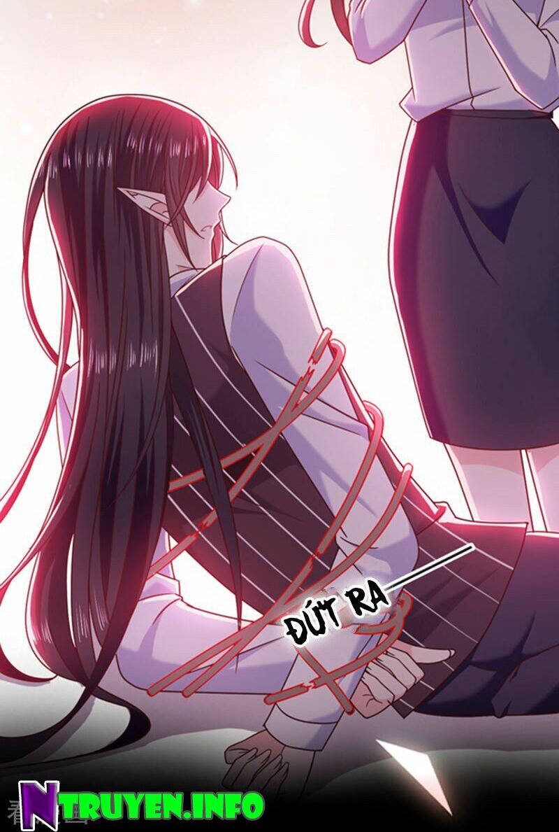 Ác ma đừng hôn tôi: Chapter 104
