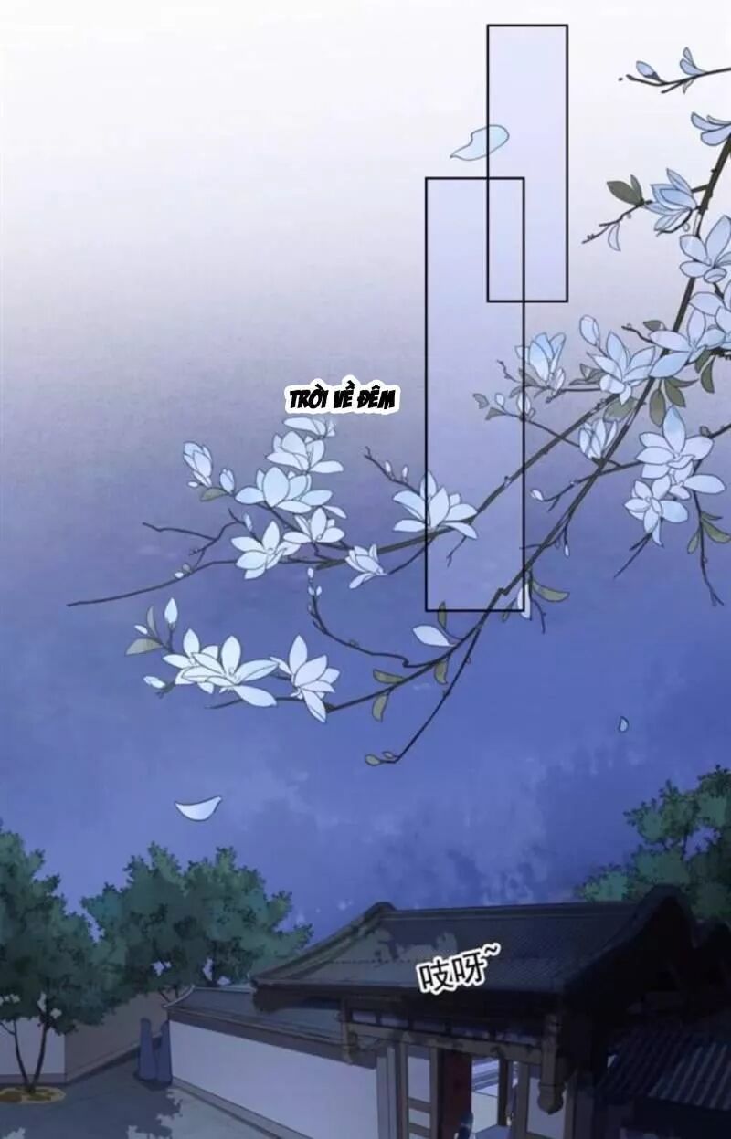 Sủng Phi Của Vương: Chapter 143