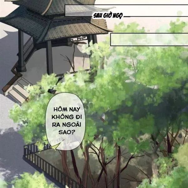 Sủng Phi Của Vương: Chapter 143