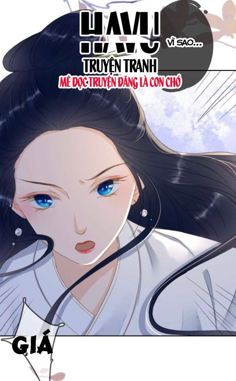 Sủng Phi Của Vương: Chapter 165