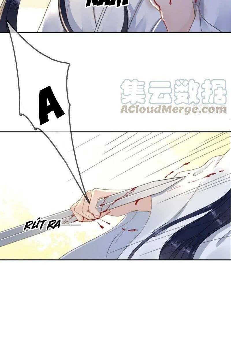 Sủng Phi Của Vương: Chapter 168