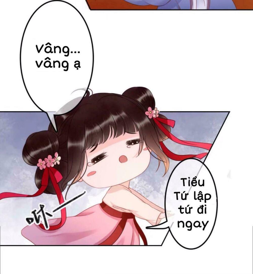 Sủng Phi Của Vương: Chapter 37